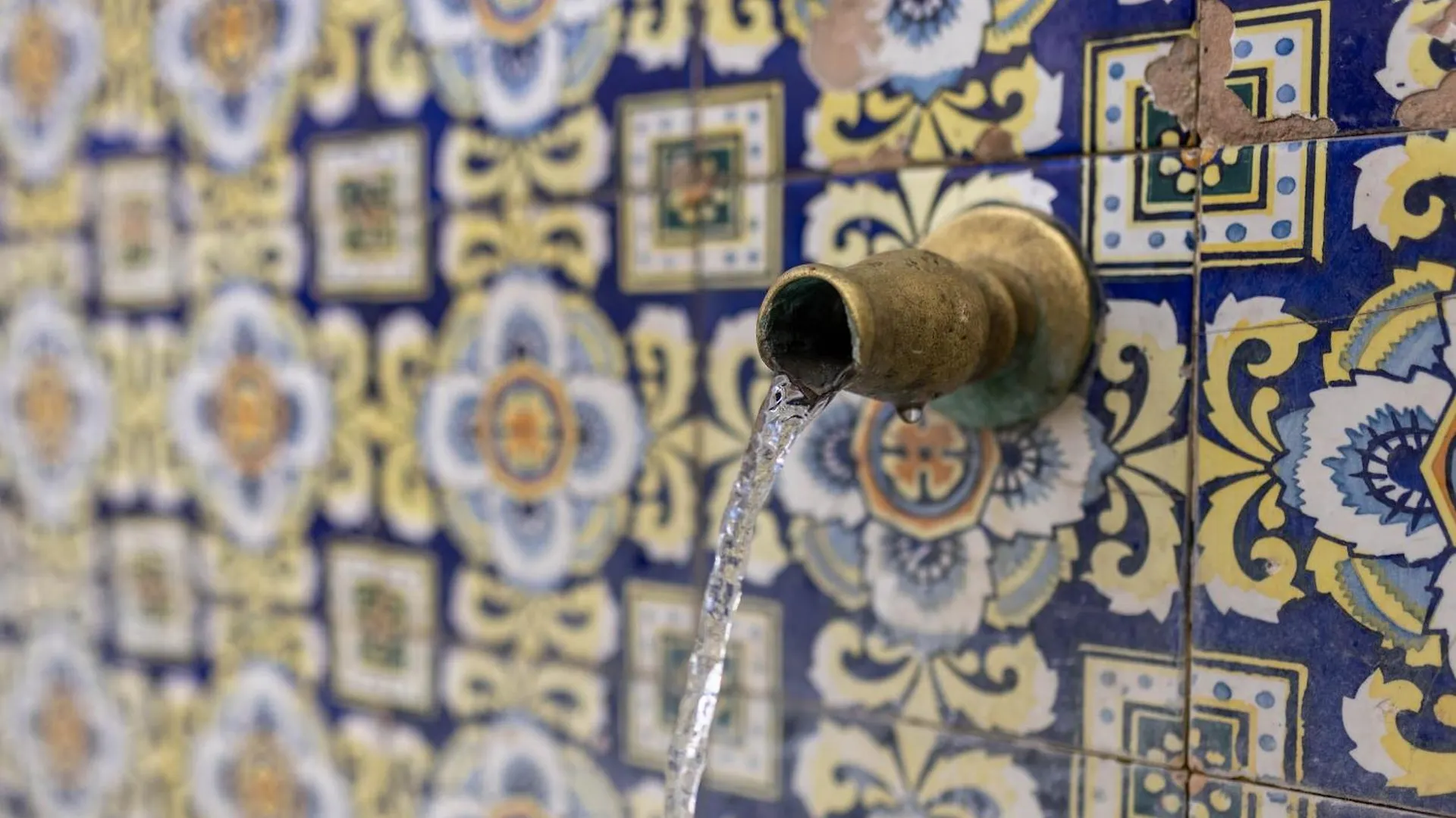Olive & Ivy Guesthouse Canillas de Aceituno Spain