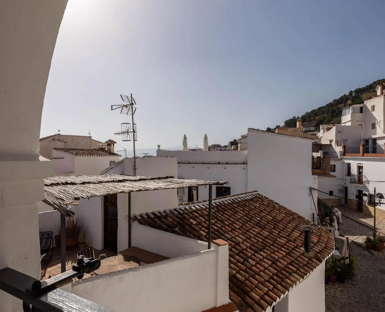Olive & Ivy Guesthouse Canillas de Aceituno