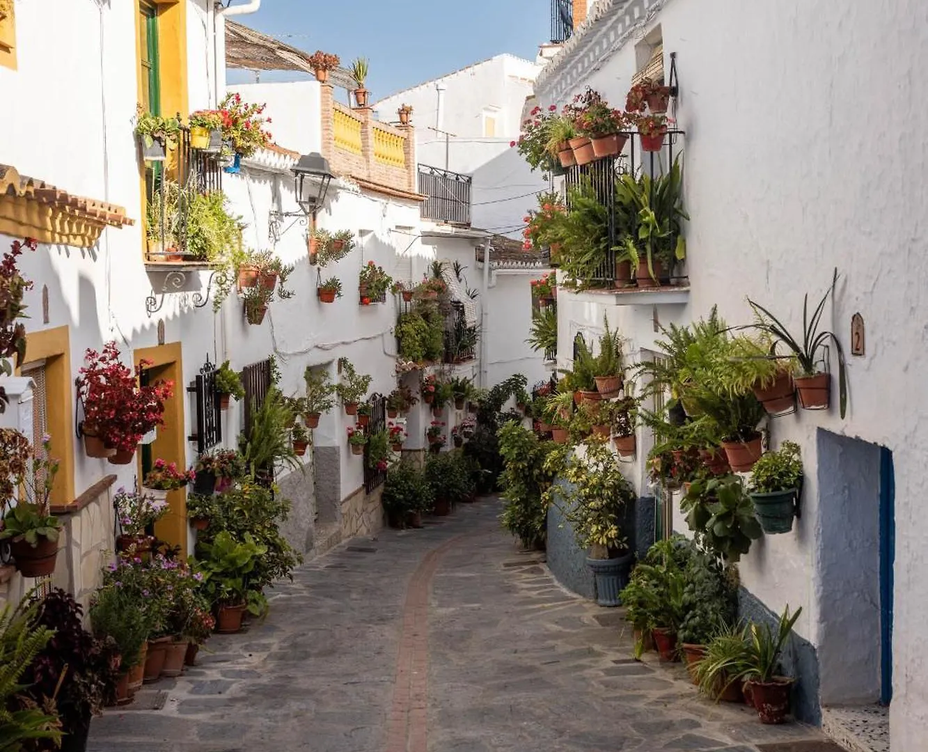Olive & Ivy Guesthouse Canillas de Aceituno