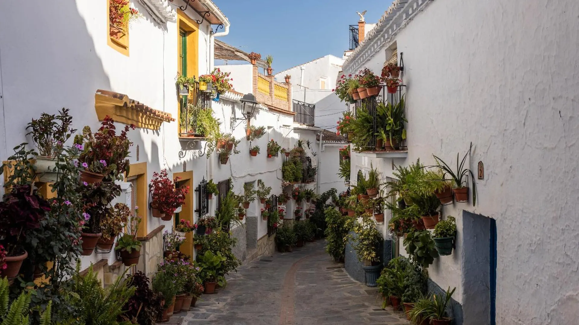 Bed & Breakfast Olive & Ivy Guesthouse Canillas de Aceituno