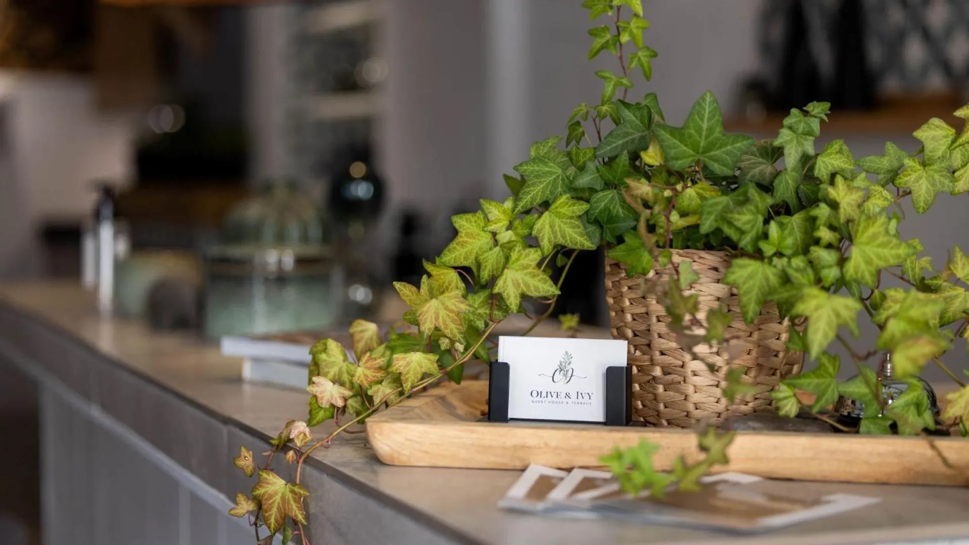 Olive & Ivy Guesthouse Canillas de Aceituno