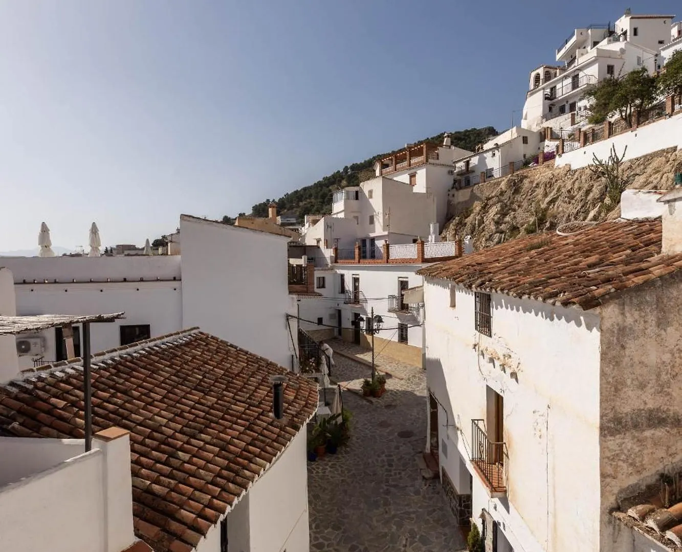 Olive & Ivy Guesthouse Canillas de Aceituno Bed & Breakfast