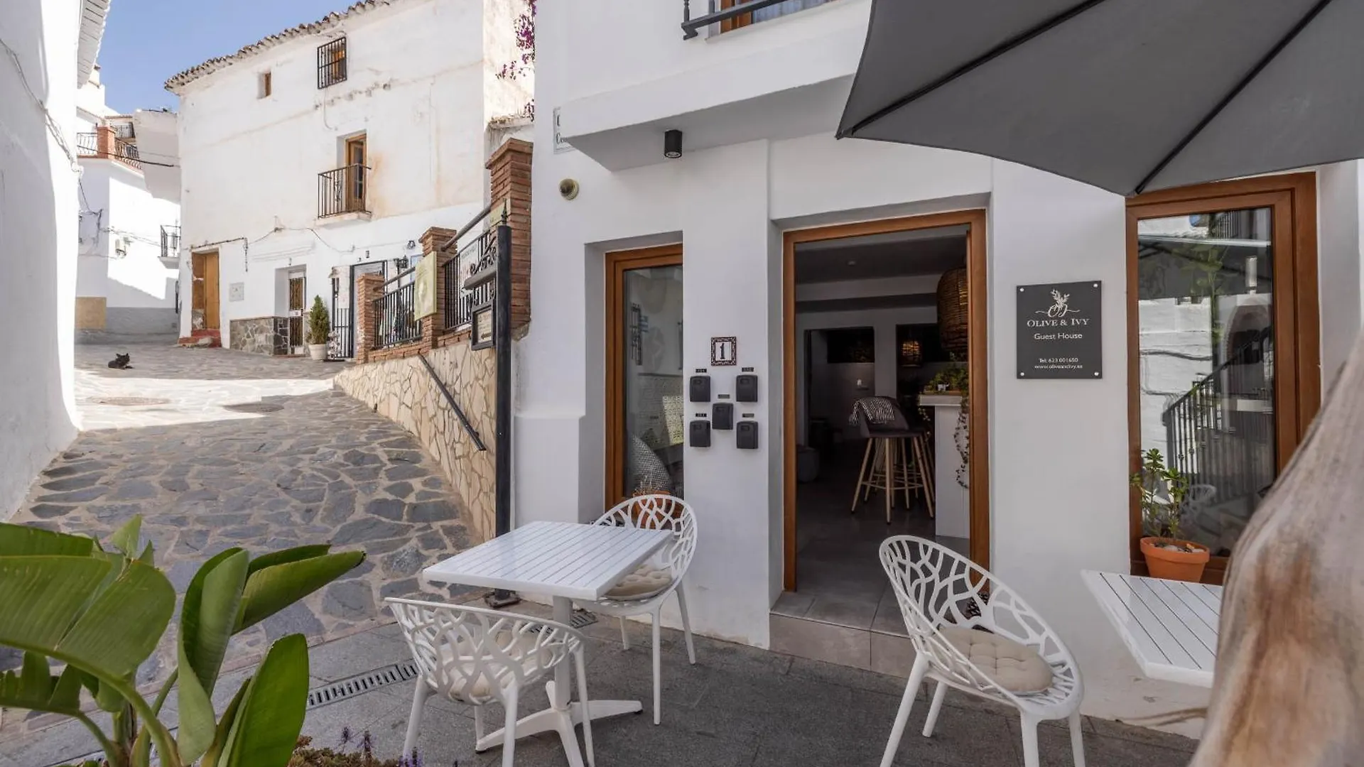 Bed & Breakfast Olive & Ivy Guesthouse Canillas de Aceituno