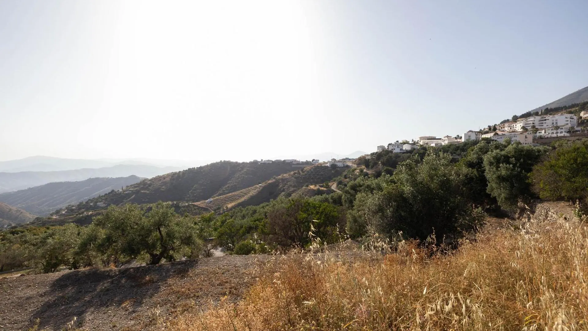 Olive & Ivy Guesthouse Canillas de Aceituno Bed & Breakfast